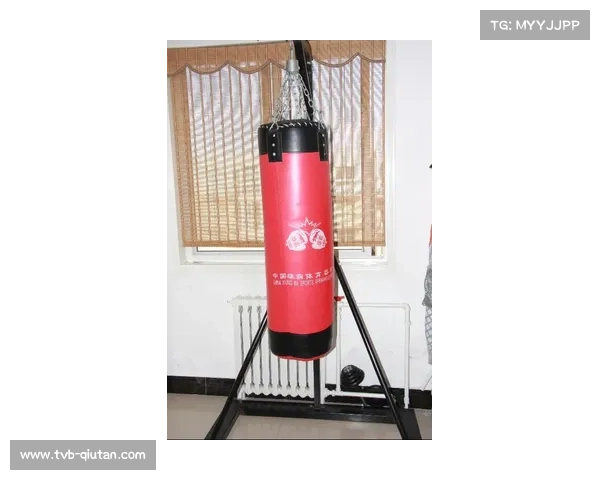 拳击器材产品类型中沙袋增长较快，护具等产品需求稳定